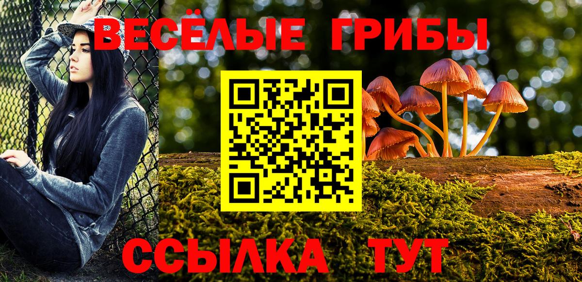 Каннабис  COCAIN  A PVP СОЛЬ   MDMA  Калуга  Меф   ГАШИШ  Вход с VPN  Купить 