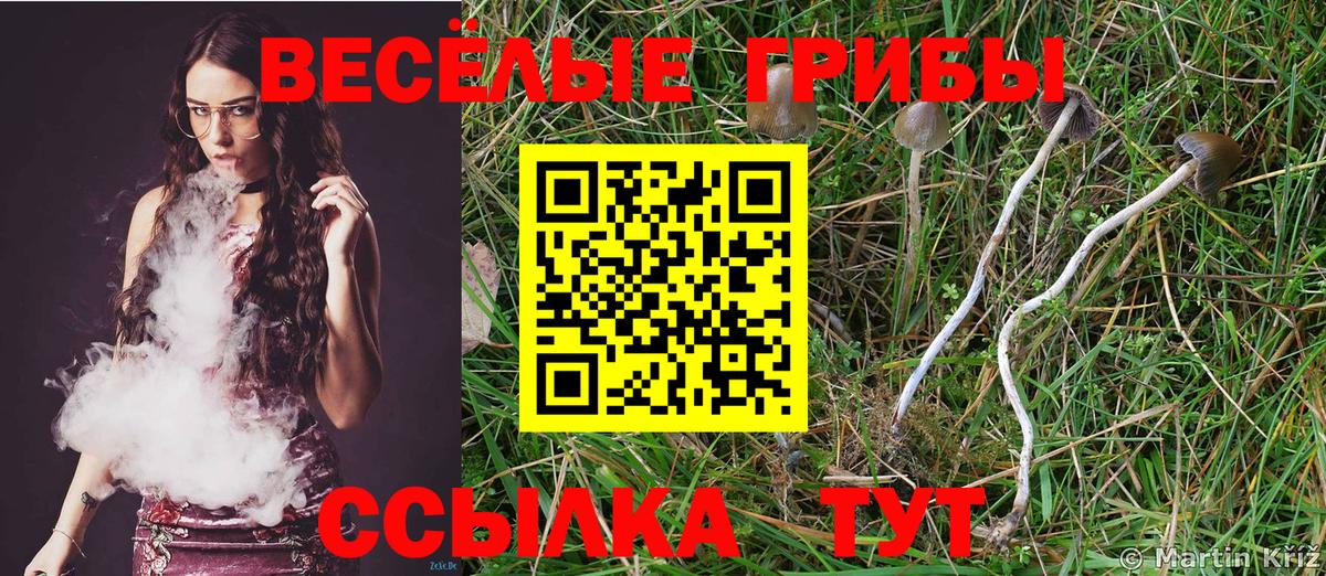 Галлюциногенные грибы ЛСД  Вход с VPN  Калуга 