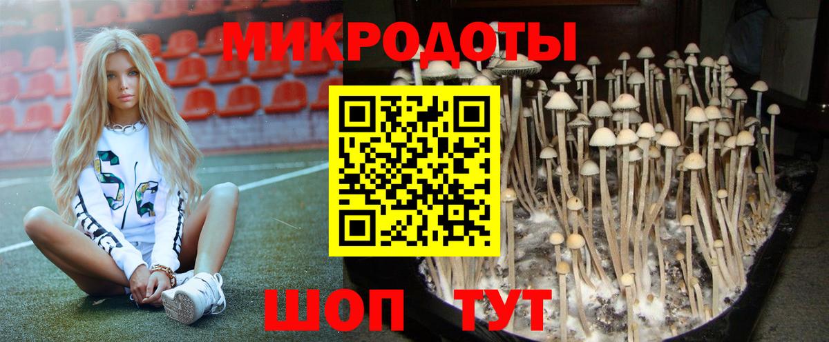 Псилоцибиновые грибы GOLDEN TEACHER Калуга